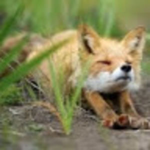 Meet your Posher, Francesca